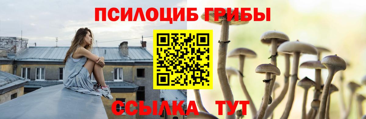 Галлюциногенные грибы мухоморы Кстово